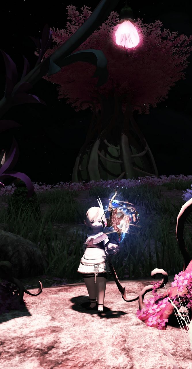 ffxiv_20191229_231237_635.jpg