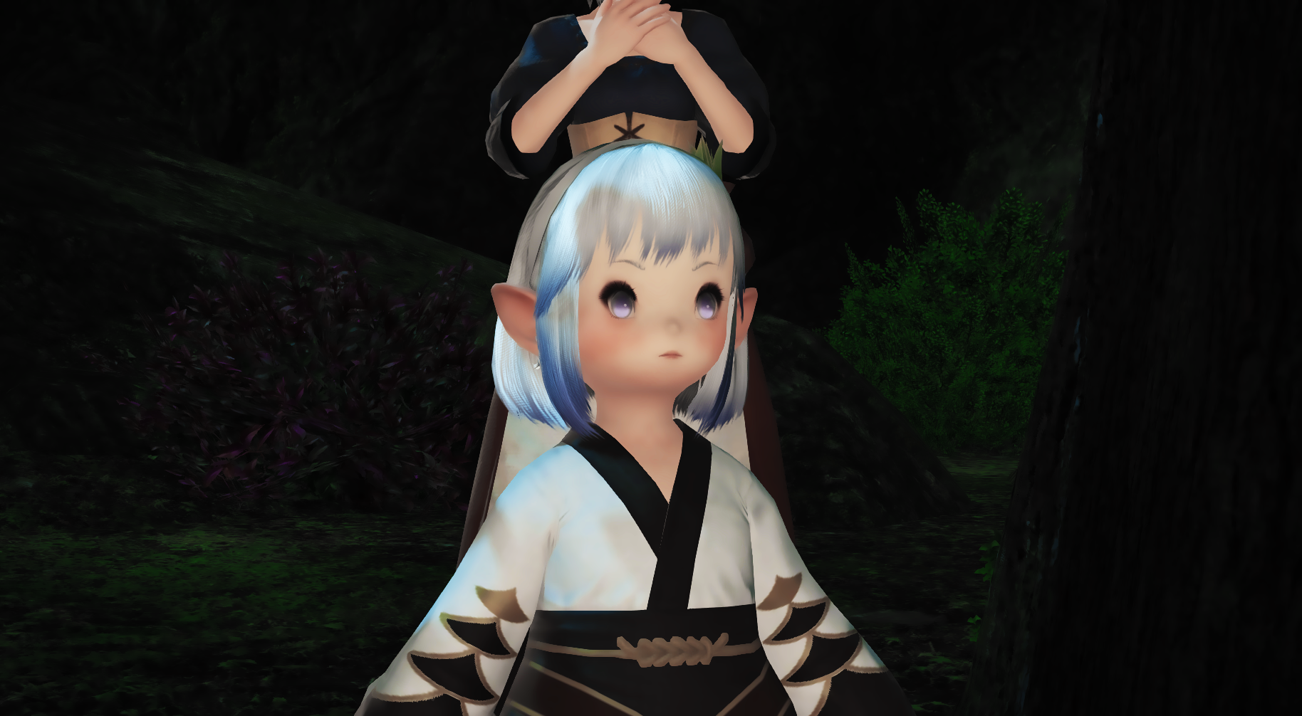 ffxiv_20171215_232529.png