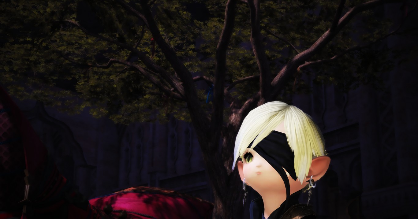 ffxiv_20180211_190524.jpg