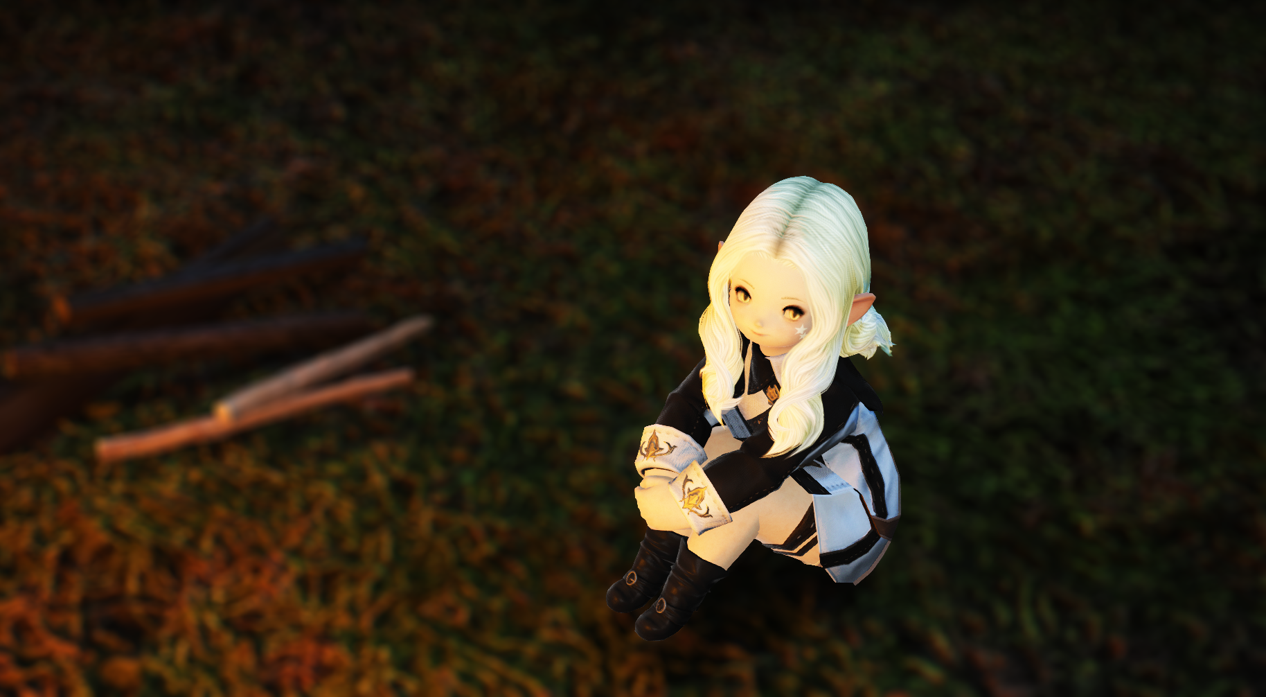 ffxiv_20170517_2301571.png