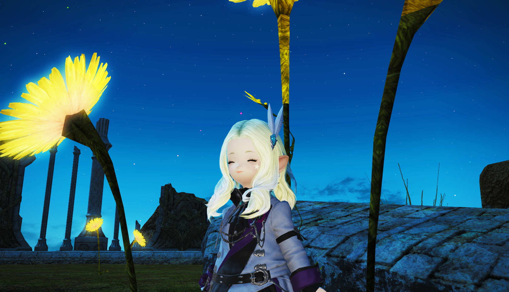 ffxiv_20170109_163625.png