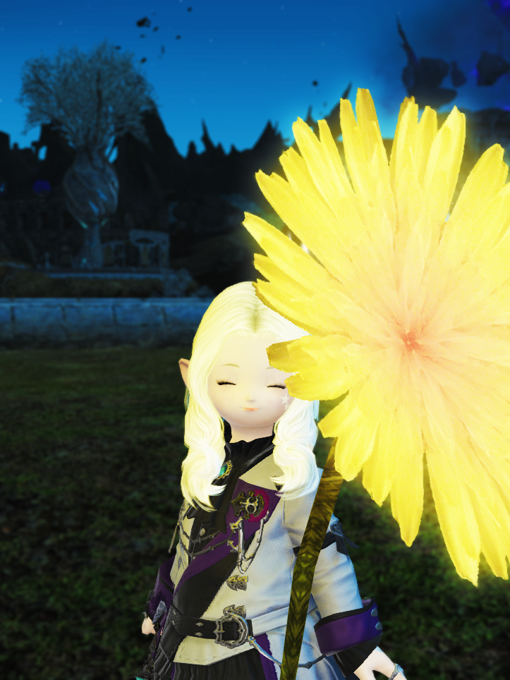 ffxiv_20170109_16370.png