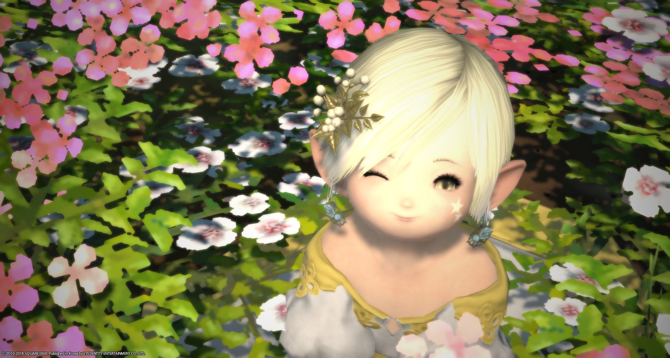 ffxiv_20180613_182305.jpg