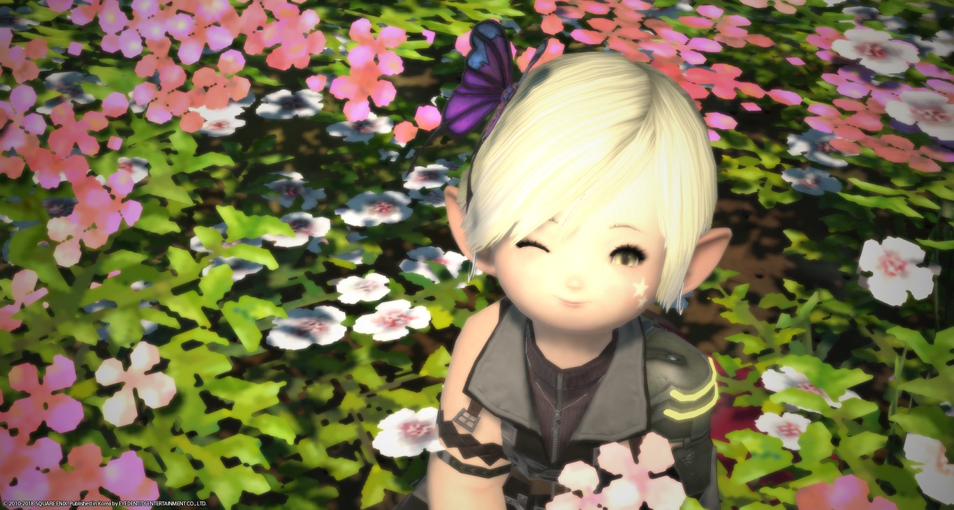 ffxiv_20180613_182336.jpg