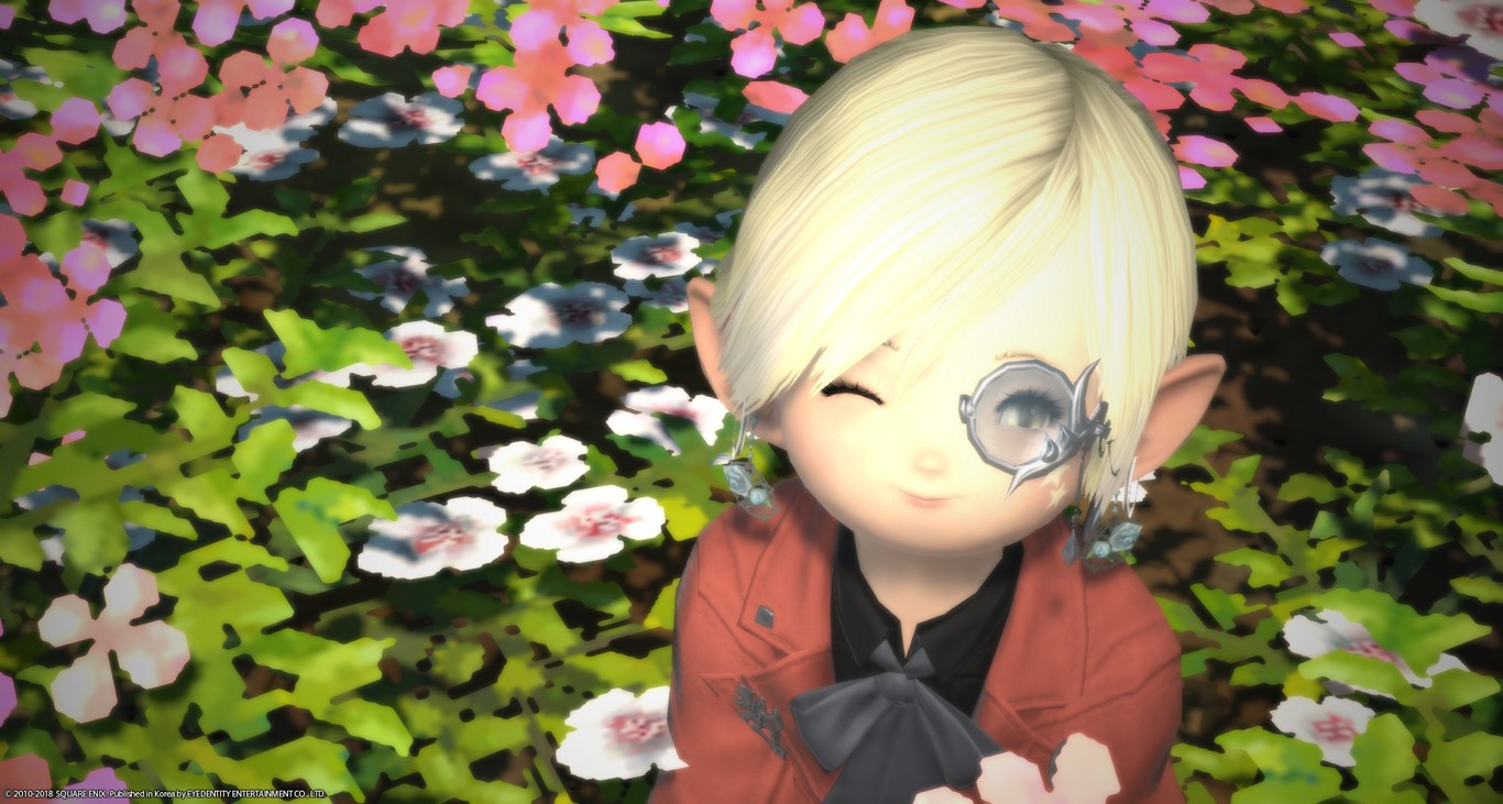 ffxiv_20180613_182229.jpg