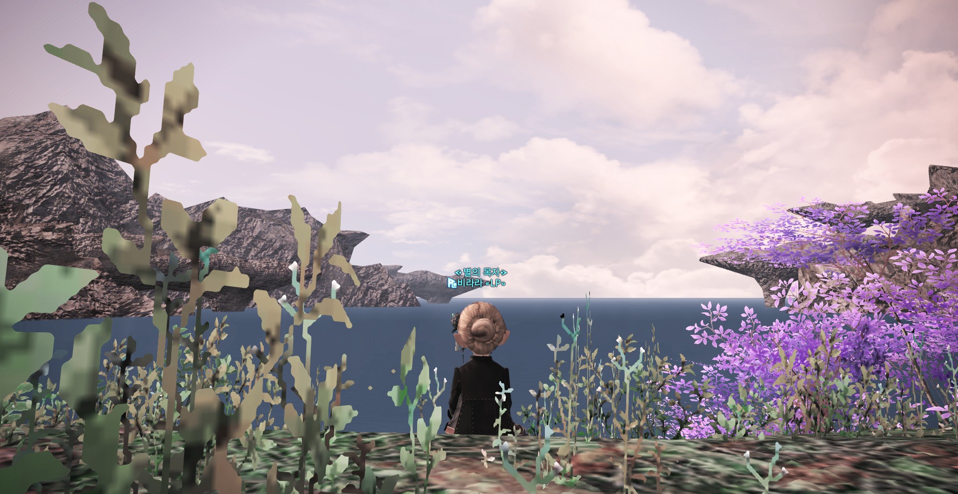 ffxiv_20210113_235909_114.jpg